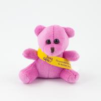 10cm Mini Coloured Bear Sash