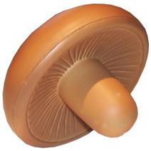 Mushroom Stress Shape