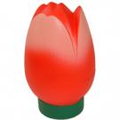 Tulip Stress Shape