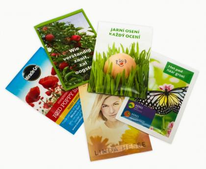 Small Seed Packet - Gloss