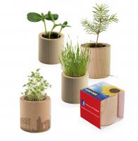 Plant-wood round - Spruce
