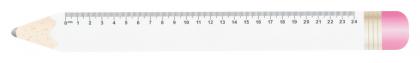 24 cm ruler, pencil