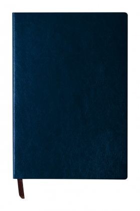 Paldon notebook