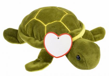 Plush turtle ALBERT