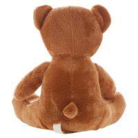 Plush teddy bear | Forrest Brown