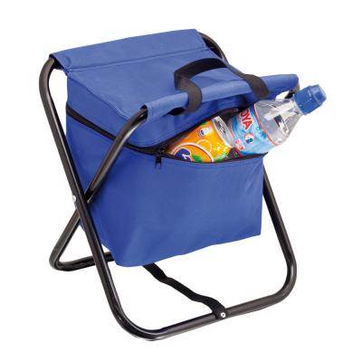 Cooler bag and chair