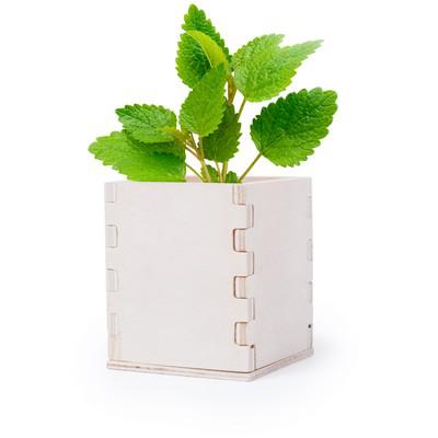 Peppermint with flower pot, wooden box