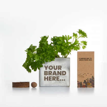 Concrete Grow Kit