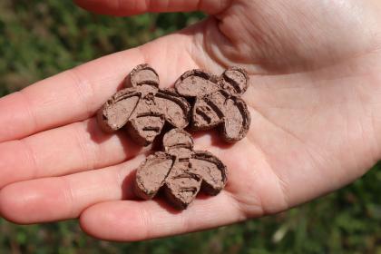 Bee-shaped Wildflower Seed Bombs: A Buzzing Opportunity for Promotional Success