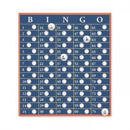 Bingo game set