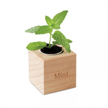 Herb pot wood "MINT"