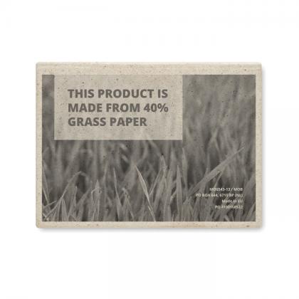 Recycled/grass sticky memo pad