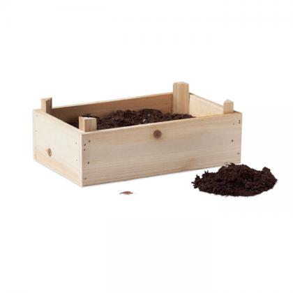 Tomato kit in wooden crate