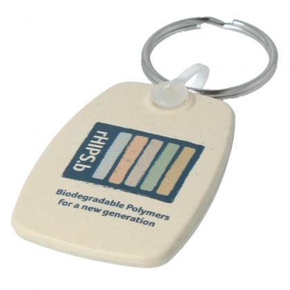 Picture of rHIPS.b Compact Keyring