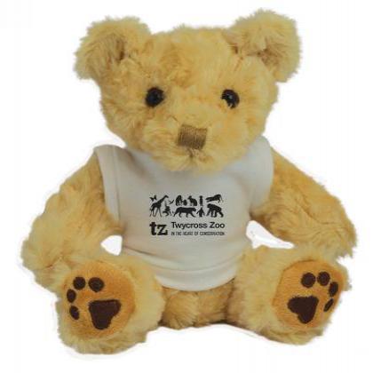 Picture of 7inch Benji Bear with T Shirt