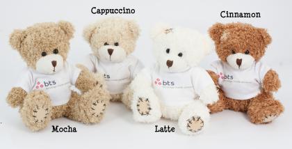12cm Sitting Paw Bear with T-shirt E1313305