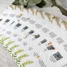 Seed Paper Bookmarks