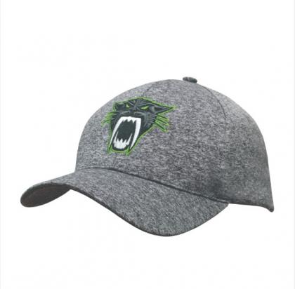 Cationic Sports Jersey CAP
