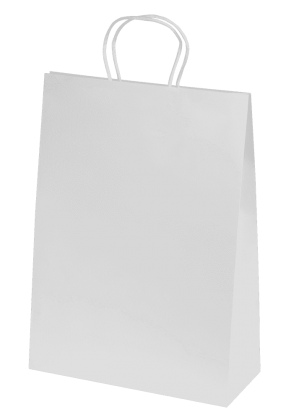 Bags - Ashdown Large Paper Gift Bag - White - 200GSM