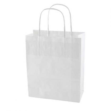 Paper bag (220 x 310 x 100mm)