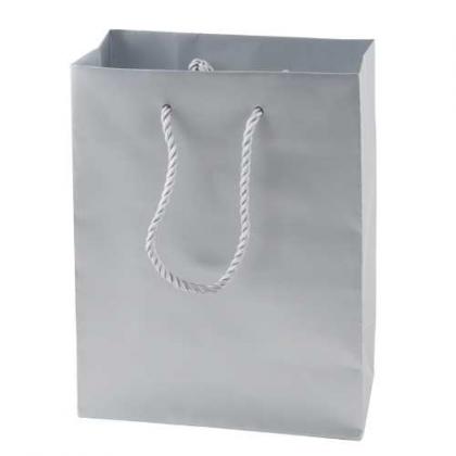 Matt paper bag (220 x 290 x 100mm)