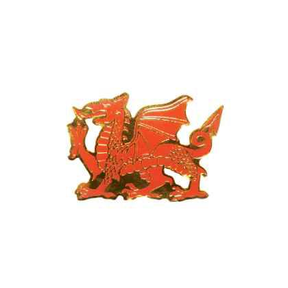 Dragon Pin Badge
