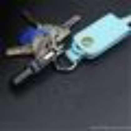 WG-PCA-C1 Key chain cable