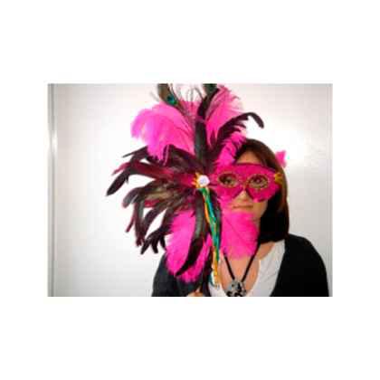Exotic Pink Feather Mask On A Stick. (1)