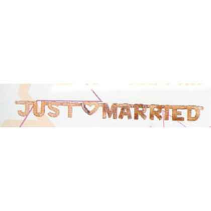 Just Married Banner Silver