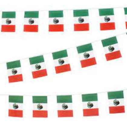 Mexico Bunting 6m 20 Flag