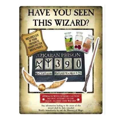 Gold Harry Potter Wanted Poster as Selfie Frame With Props