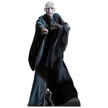 Lord Voldemort He Who Must Not Be Named