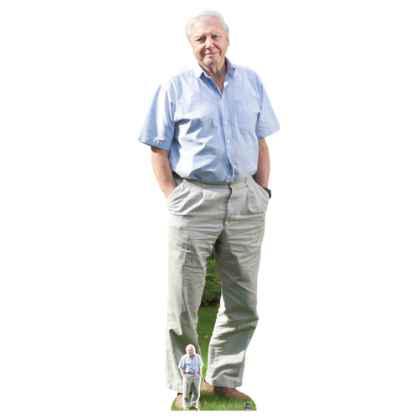 David Attenborough Cardboard Cutout with Free Table Top