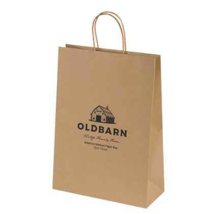 Bags - Ashdown Medium Paper Gift Bag with Twisted Handles - Kraft - 150GSM