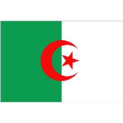 Algerian Flag 5ft x 3ft With Eyelets For Hanging