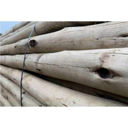 Wooden Eucalyptus Pole Set inc. Carabiners | Large Range