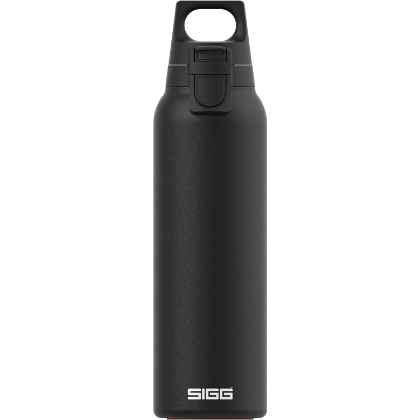 Thermo Flask Hot & Cold ONE Light Black 0.55 L
