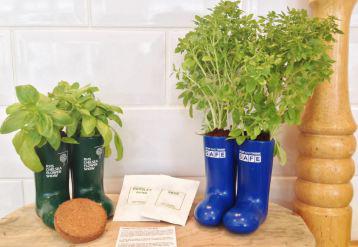 The Welly Boot Plant Pot