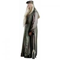 Albus Dumbledore (Harry Potter) Cardboard Cutout with Mini Cutout