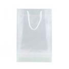 Clear bag