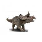 Official Jurassic World Baby Triceratops Dinosaur