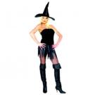 Saucy Witch Costume