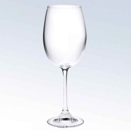 Gourmet White Wine Glass