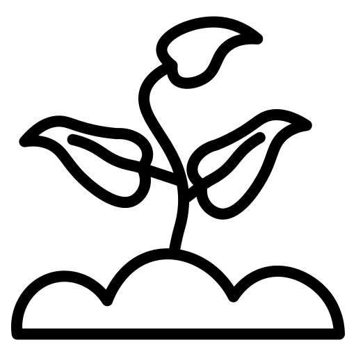 Seeds & Plants